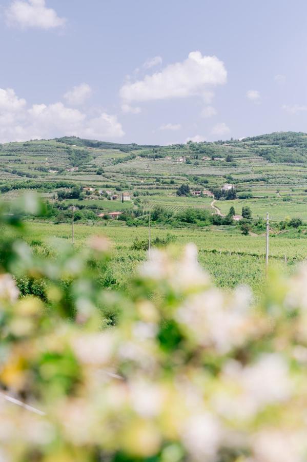 Inn Bacco D'oro Wine & Relais 4*